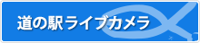 道の駅ライブカメラ