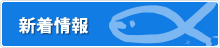 新着情報