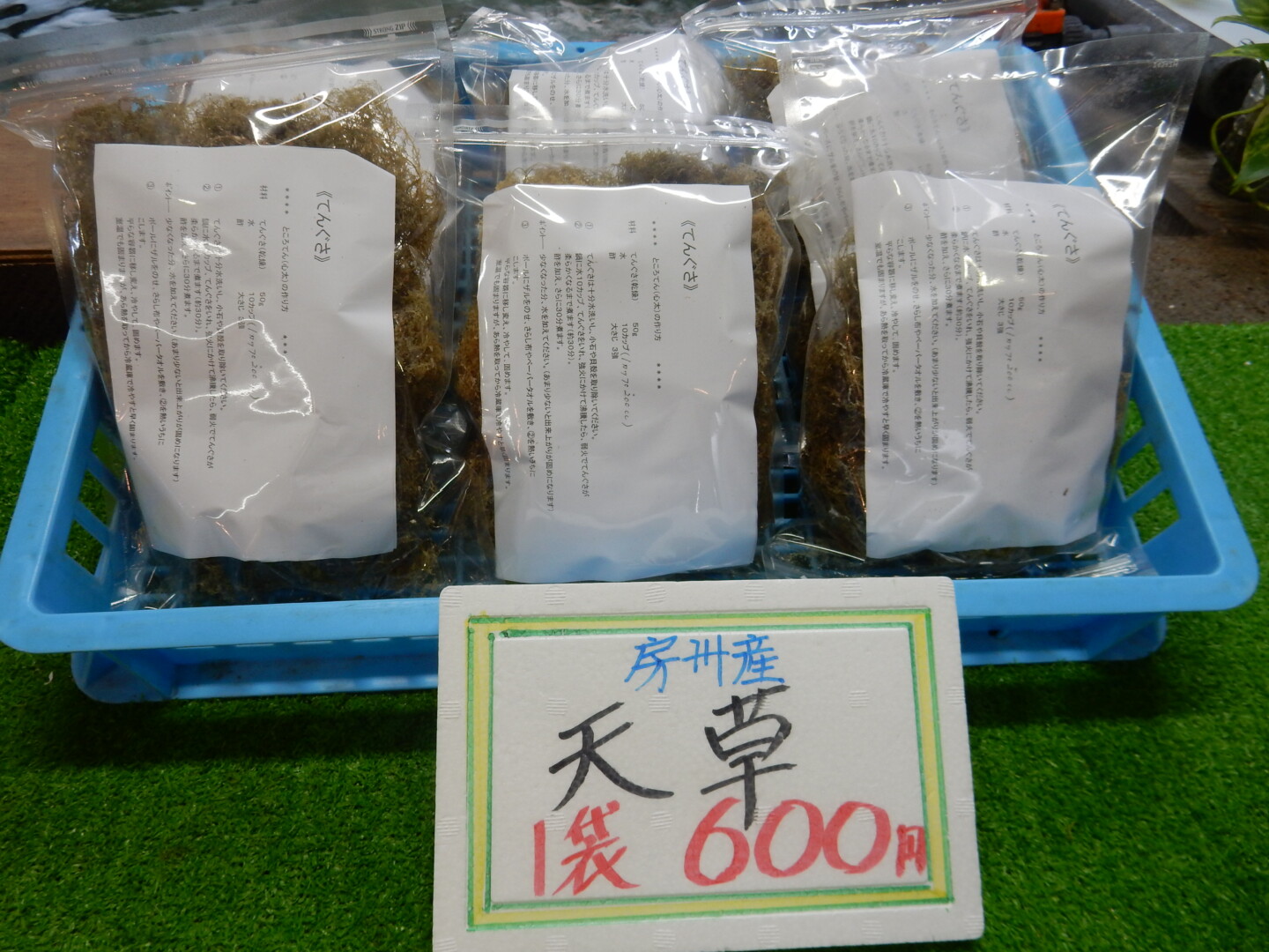 南房総産 天草 ところてん 訳あり10キロ - 魚介類(加工食品)