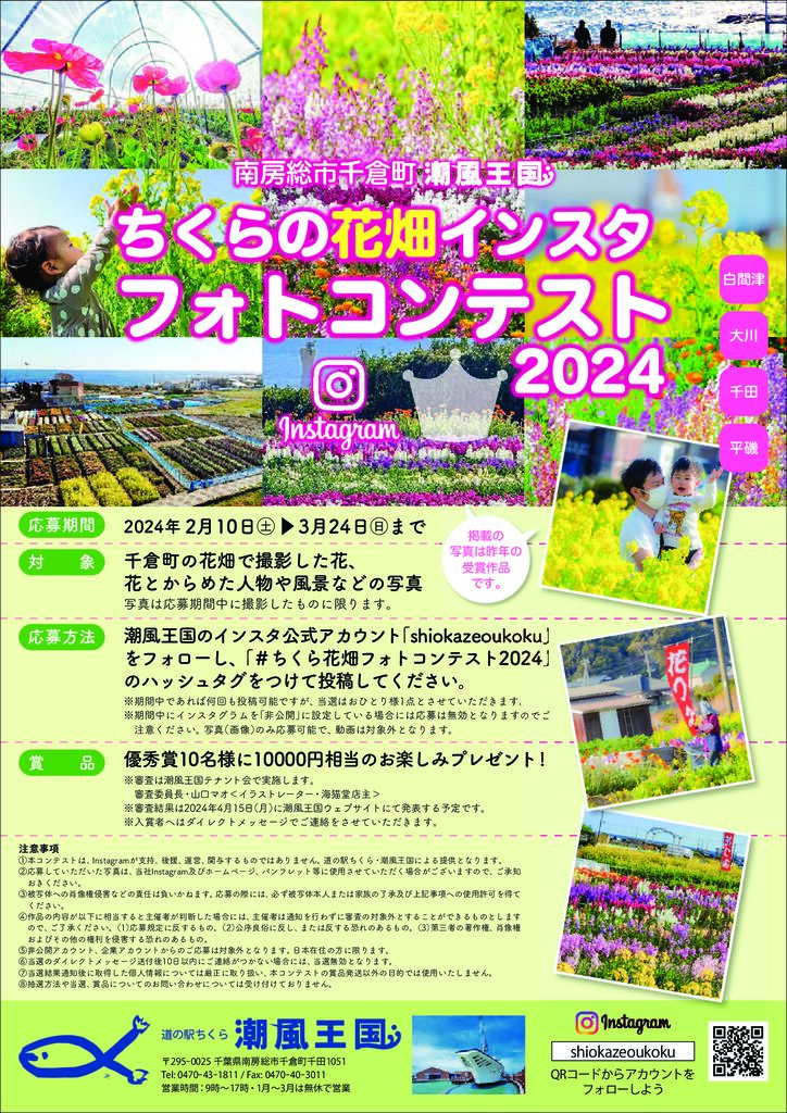 insta-photo-contest-optedのサムネイル