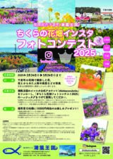 instagram-photo-contest-optのサムネイル